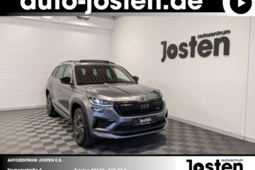 Skoda Kodiaq in grau